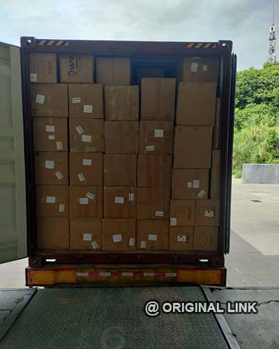 CHRISTMAS DECORATIONS OCEAN FREIGHT FROM SHENZHEN, CHINA TO USA | Original Link Logistics Case